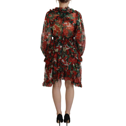 Dolce & Gabbana Multicolor Geranium A-line Knee Length Dress Dolce & Gabbana