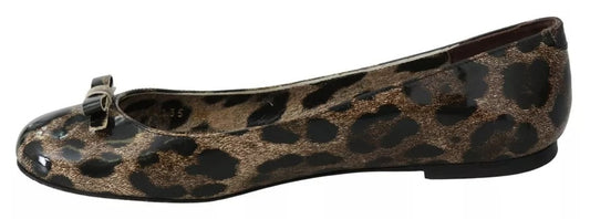 Dolce & Gabbana Brown Leopard Ballerina Flats Leather Shoes