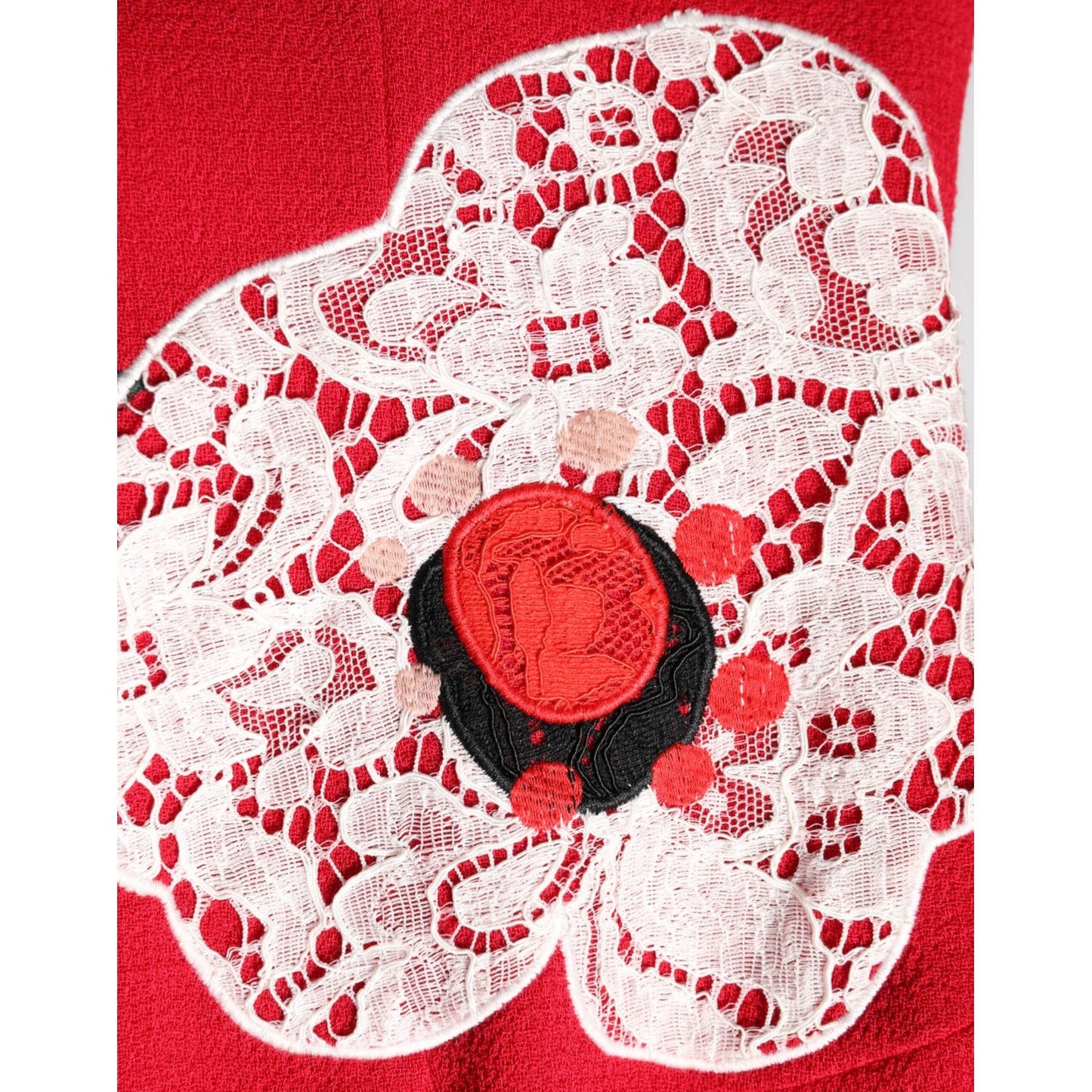 Dolce & Gabbana Red Lace Floral Applique A-line Mini Dress Dolce & Gabbana