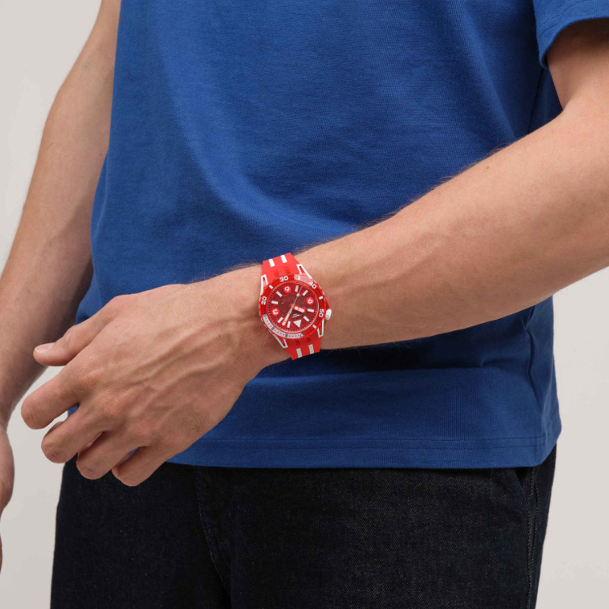 SWATCH Mod. LION'S MANE